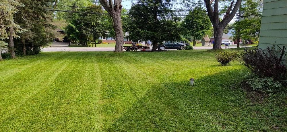 Local landscape design experts serving West Seneca, NY - Close Cuts Lawn Care