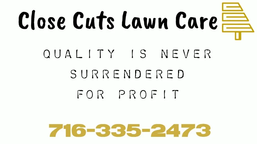 Expert yard maintenance in West Seneca, NY - Close Cuts Lawn Care