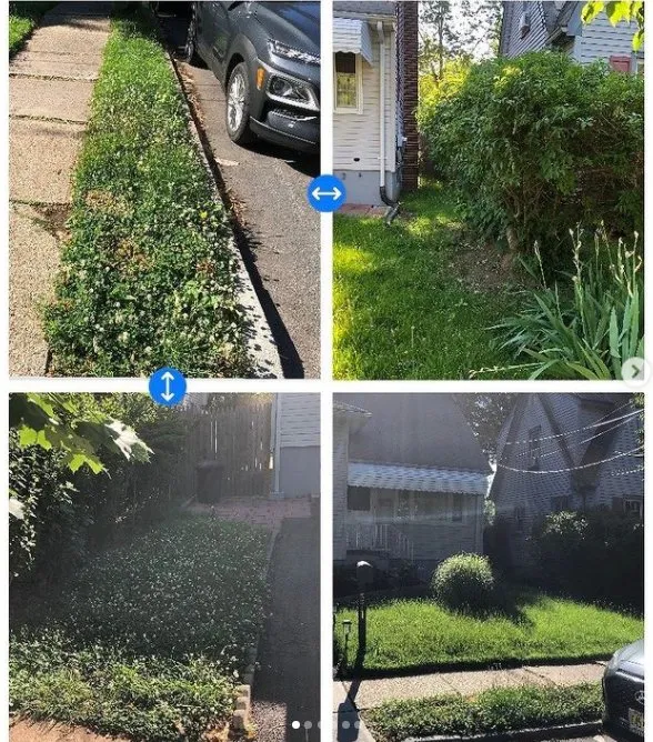 Affordable yard cleanup service in Hillside, NJ - Closeknit Property Maintenance