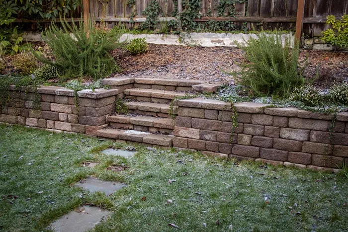 Affordable lawn mowing service experts serving Seattle, WA - Closer to Nature Landscape