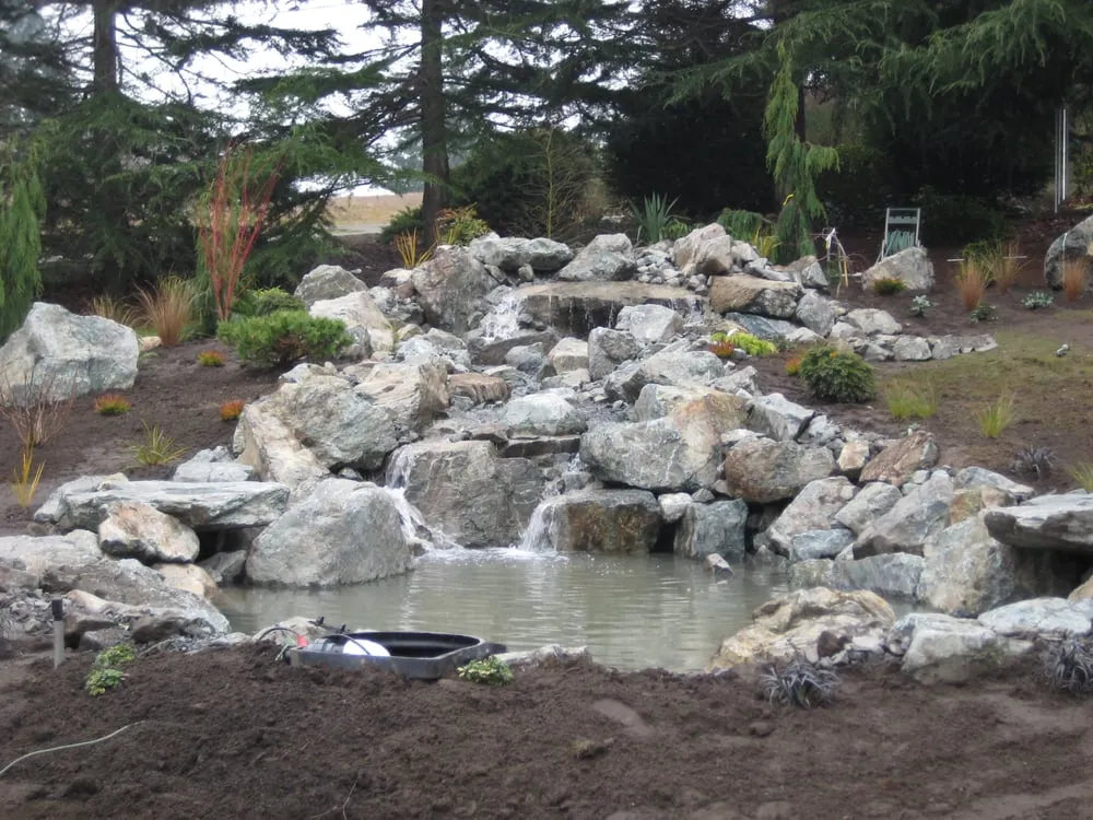 Top-rated yard maintenance experts serving Seattle, WA - Closer to Nature Landscape