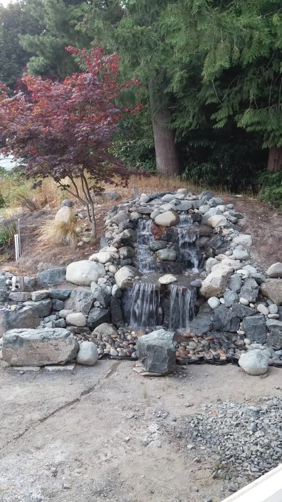 Trusted lawn care service in Seattle, WA - Closer to Nature Landscape