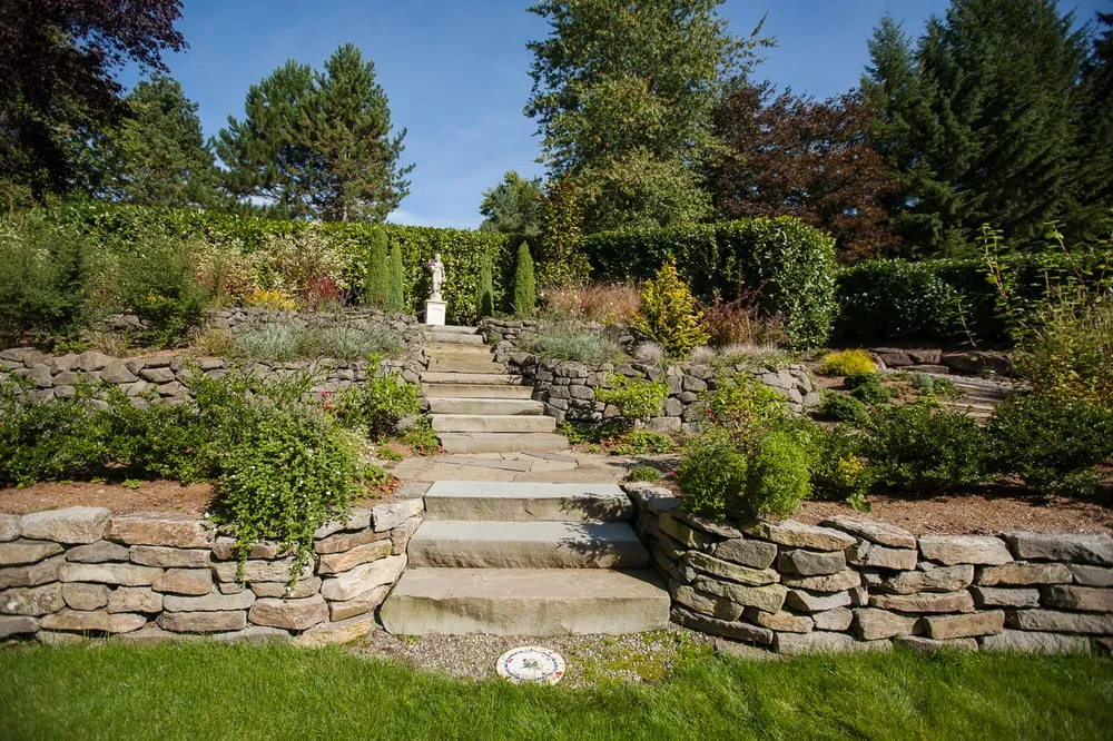 Professional yard cleanup service in Seattle, WA - Closer to Nature Landscape