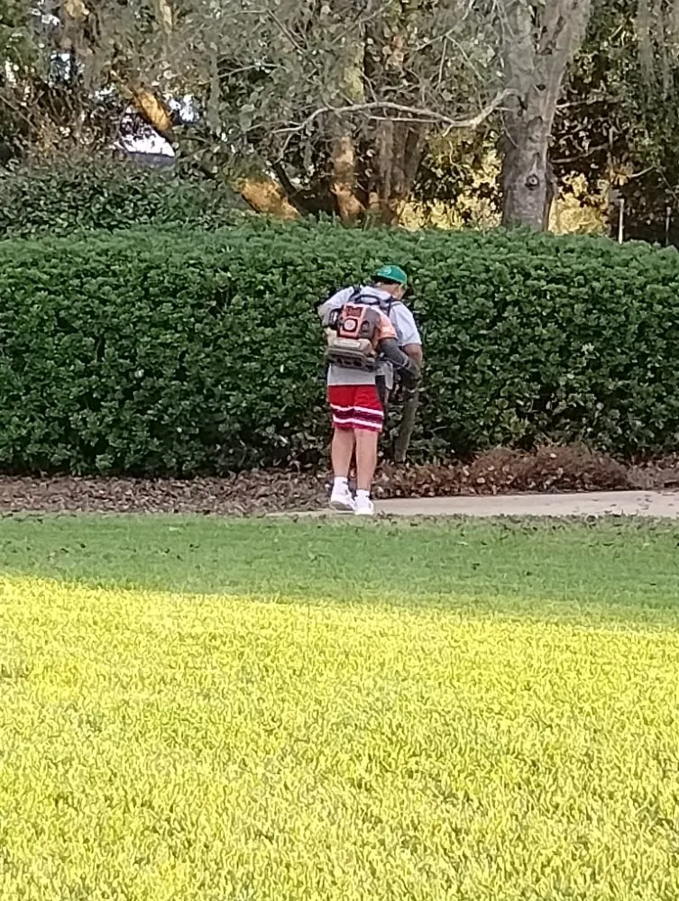 Reliable lawn mowing service near you across Chattahoochee, FL - Cloud & Son