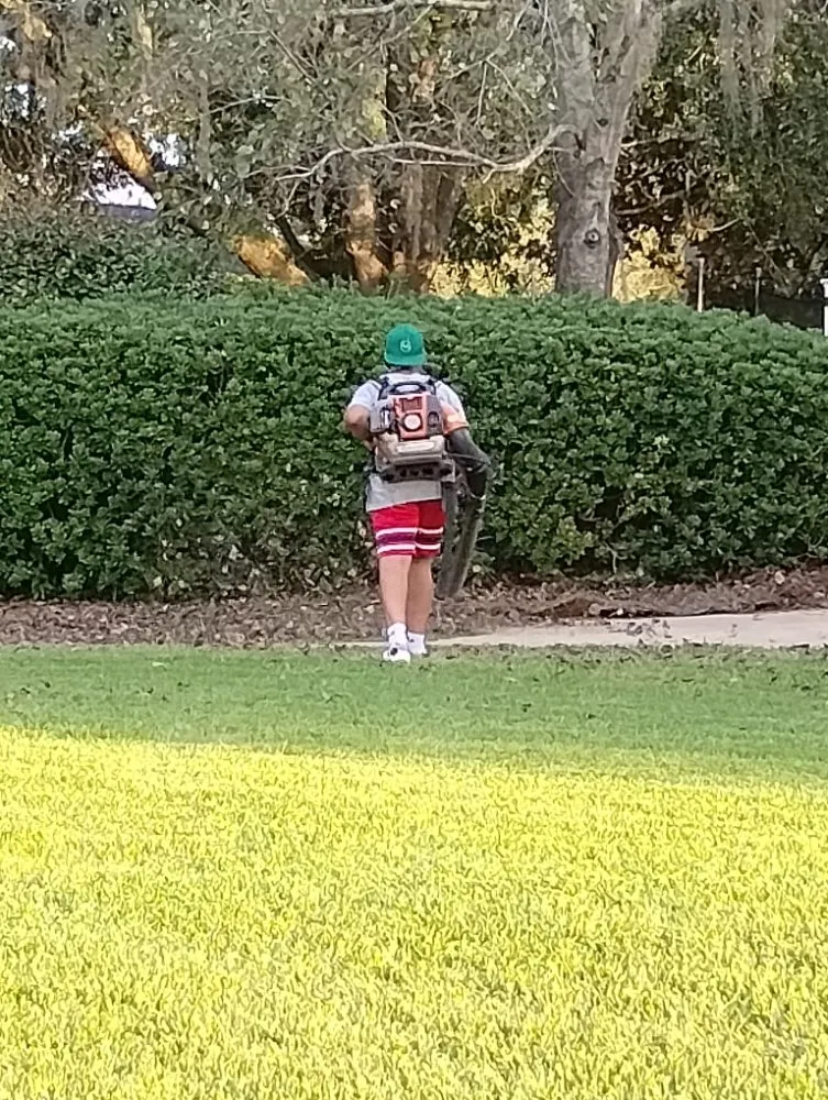 Expert lawn mowing service experts serving Chattahoochee, FL - Cloud & Son