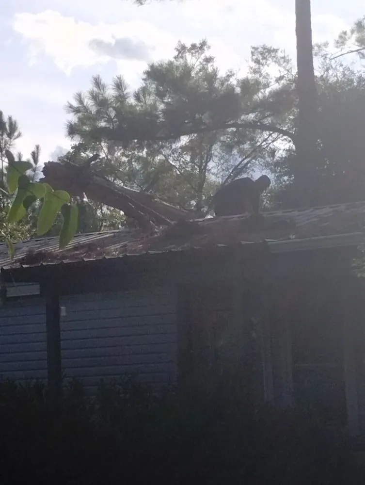 Local outdoor landscaping in Chattahoochee, FL by Cloud & Son