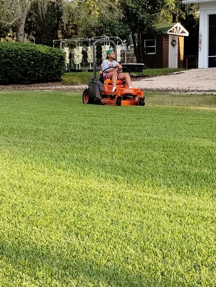 Professional landscaping services in Chattahoochee, FL by Cloud & Son