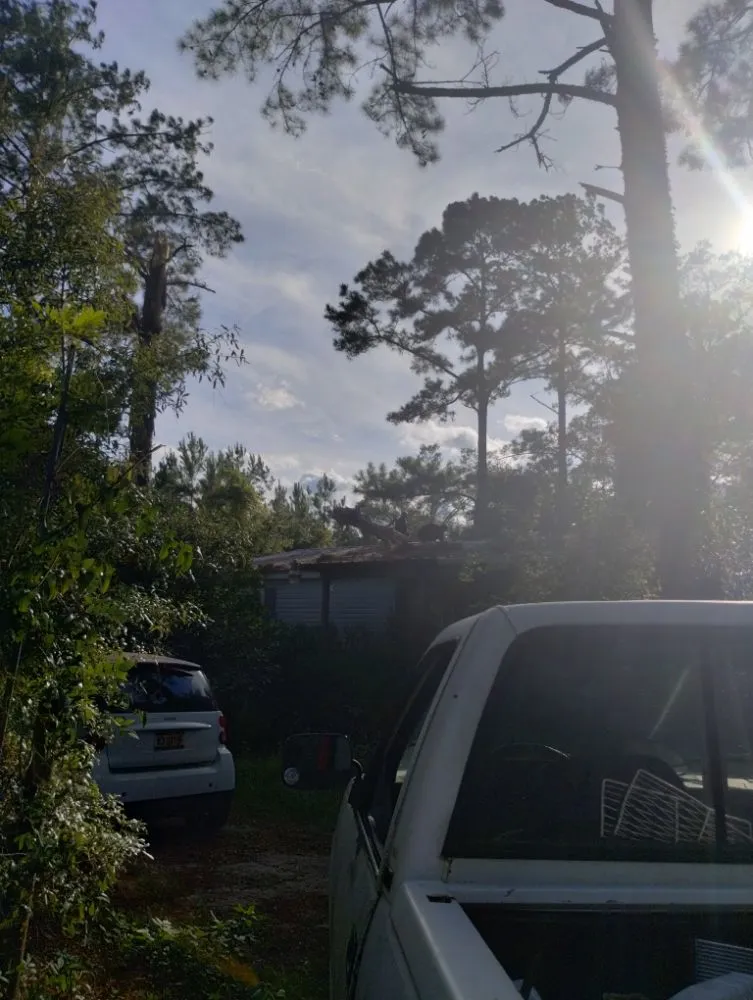 Custom garden landscaping for residential properties in Chattahoochee, FL by Cloud & Son