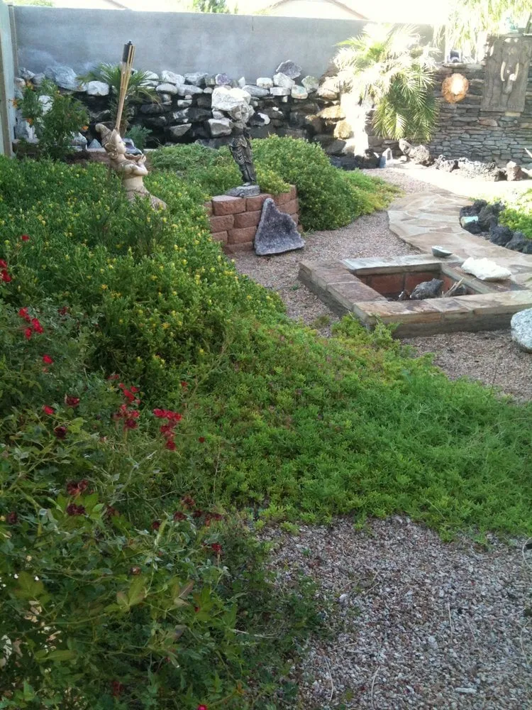 Trusted yard maintenance experts serving San Tan Valley, AZ - Cloud 9 Landscape