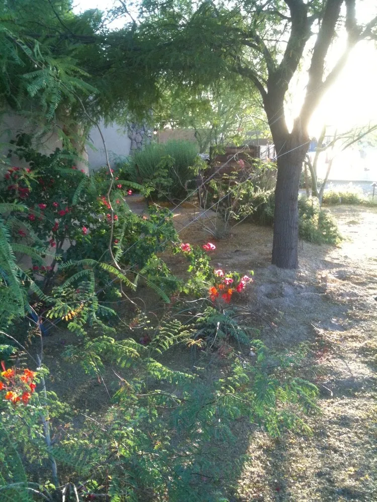 Expert garden landscaping for year-round maintenance in San Tan Valley, AZ by Cloud 9 Landscape