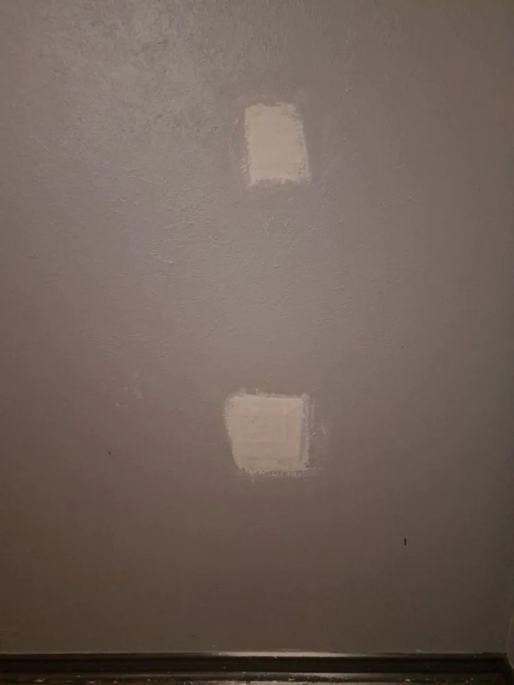 Local landscape installation in Corpus Christi, TX by Cloud 9 Lawncare and Services