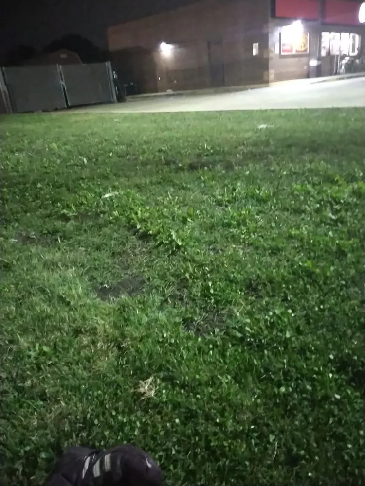 Top-rated landscape installation near you across Granite City, IL - Cloud 9 Nine