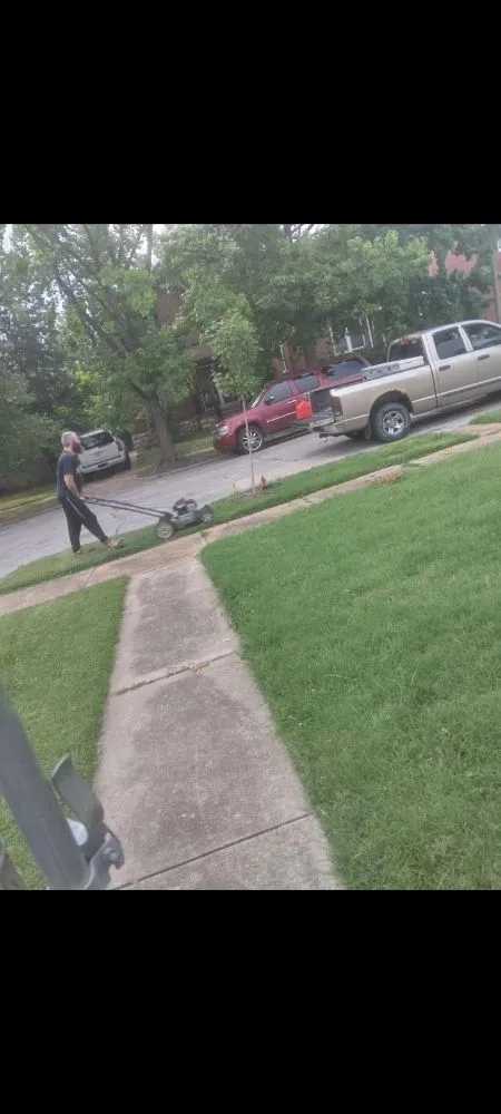 Expert outdoor landscaping in Granite City, IL by Cloud 9 Nine