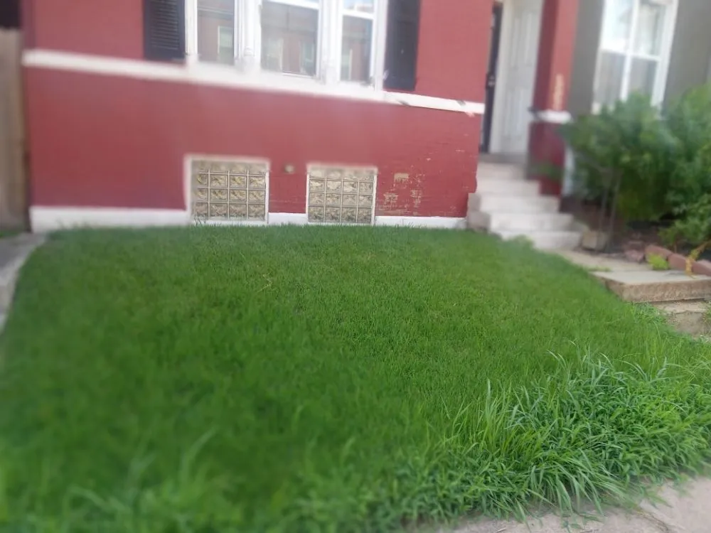 Custom lawn care service for homes in Granite City, IL by Cloud 9 Nine