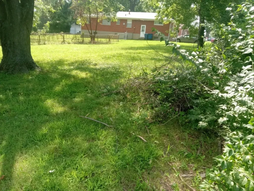 Affordable garden landscaping in Granite City, IL by Cloud 9 Nine