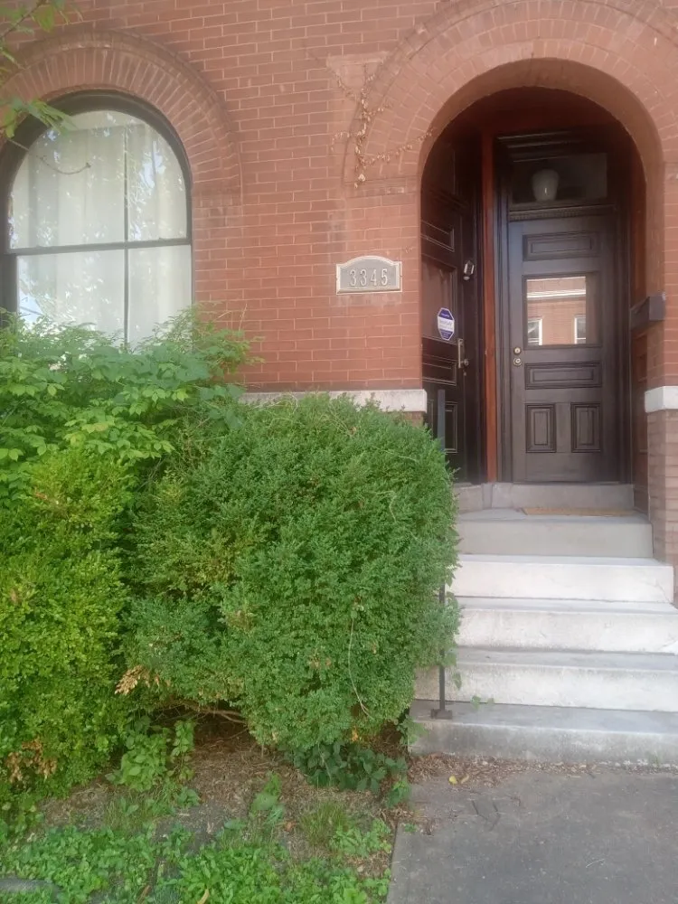 Expert yard maintenance in Granite City, IL by Cloud 9 Nine