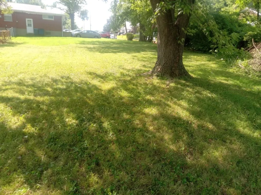 Trusted lawn care service for outdoor upgrades in Granite City, IL by Cloud 9 Nine