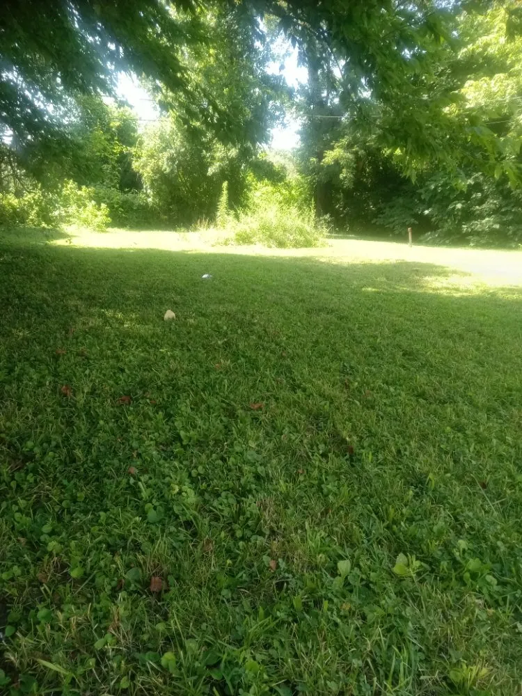 Top-rated lawn mowing service experts serving Granite City, IL - Cloud 9 Nine