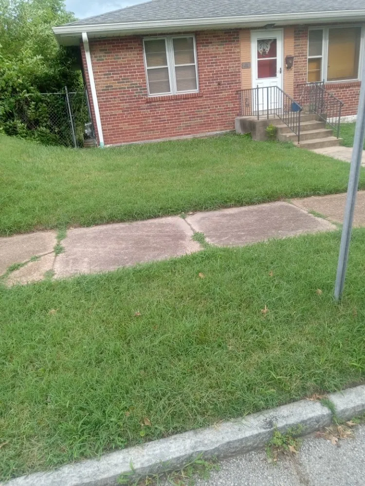 Trusted yard maintenance for homes across Granite City, IL - Cloud 9 Nine