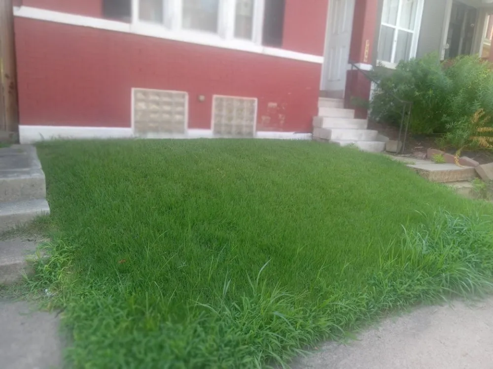 Custom yard maintenance in Granite City, IL - Cloud 9 Nine