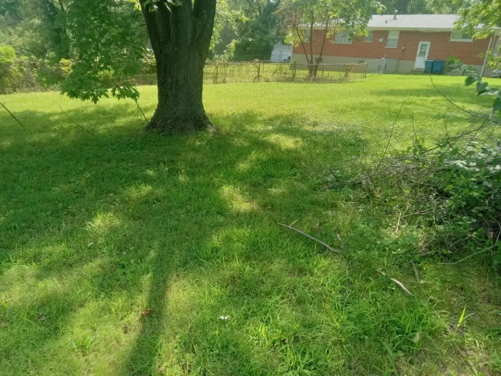 Reliable lawn care service for residential properties across Granite City, IL - Cloud 9 Nine