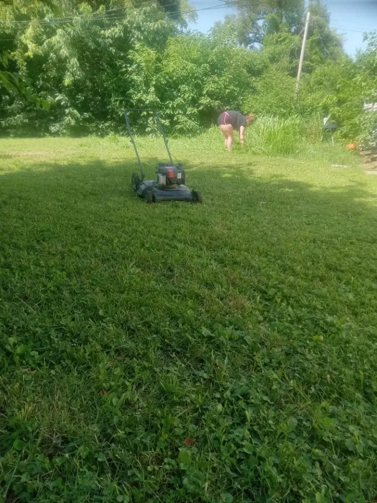 Professional garden landscaping experts serving Granite City, IL - Cloud 9 Nine