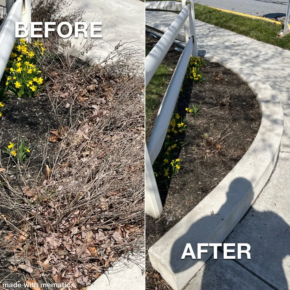 Local lawn care service for homes across Denver, PA - Cloud Boyz