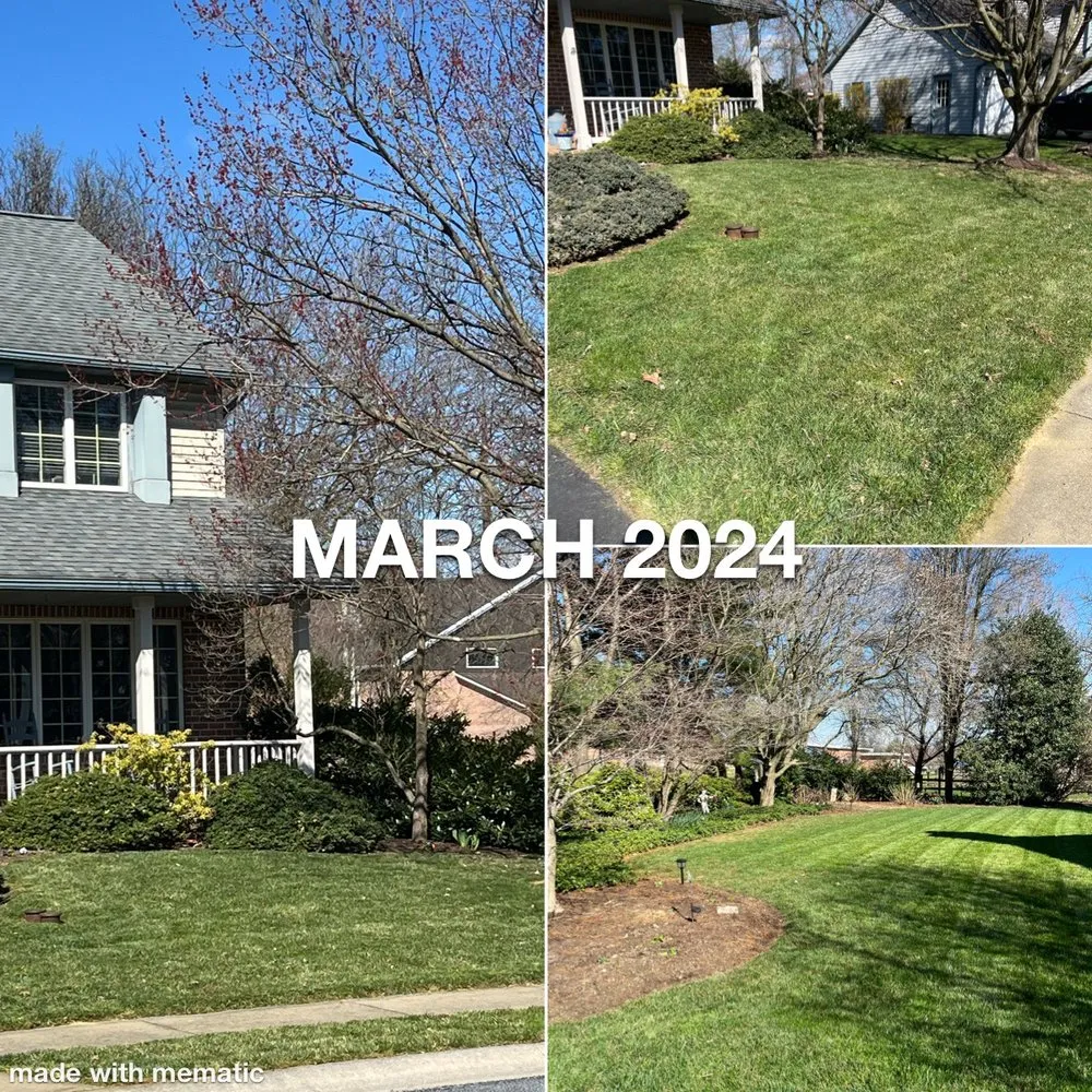 Professional landscape design experts serving Denver, PA - Cloud Boyz