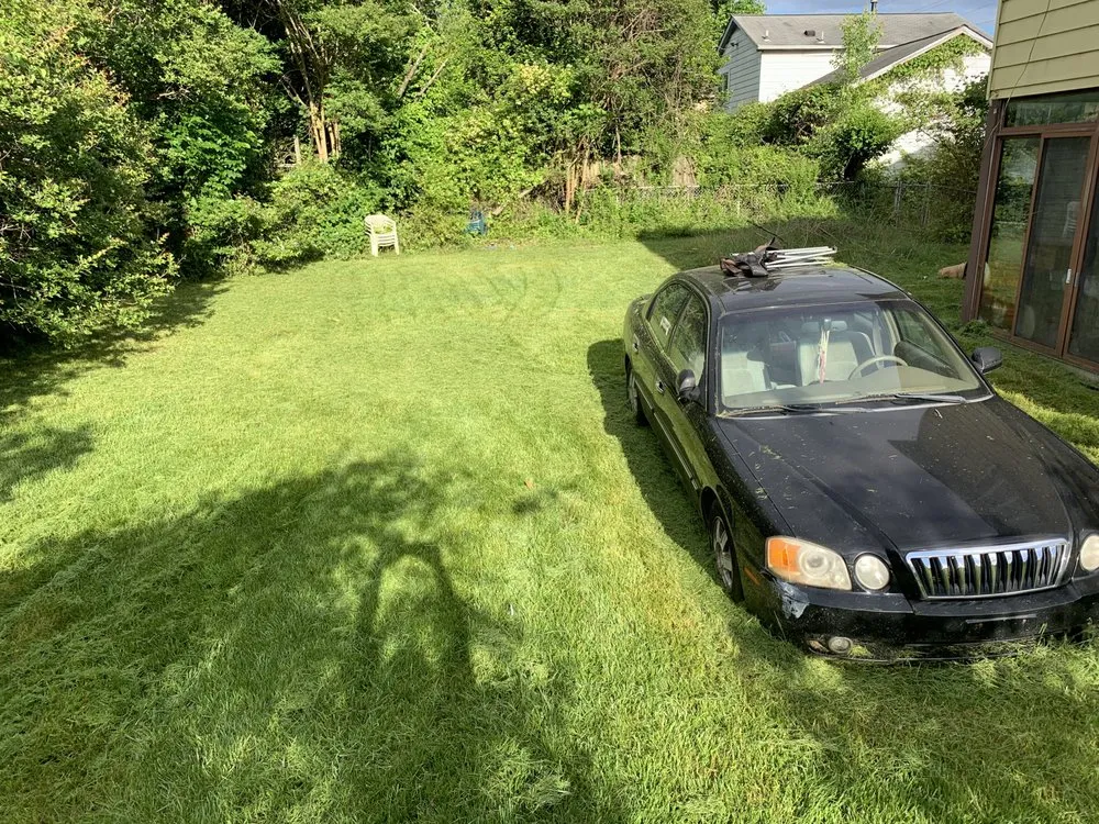 Top-rated residential landscaping for beautiful yards in District Heights, MD by Cloud Eleven Land Solu