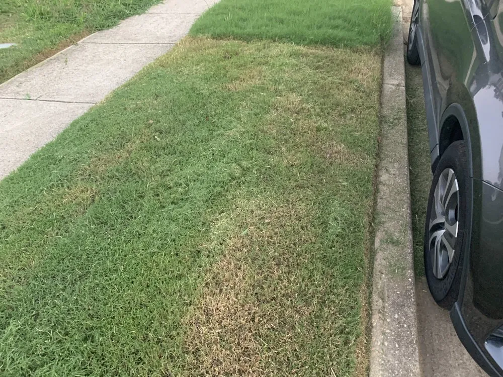 Custom lawn care service near you across District Heights, MD - Cloud Eleven Land Solu