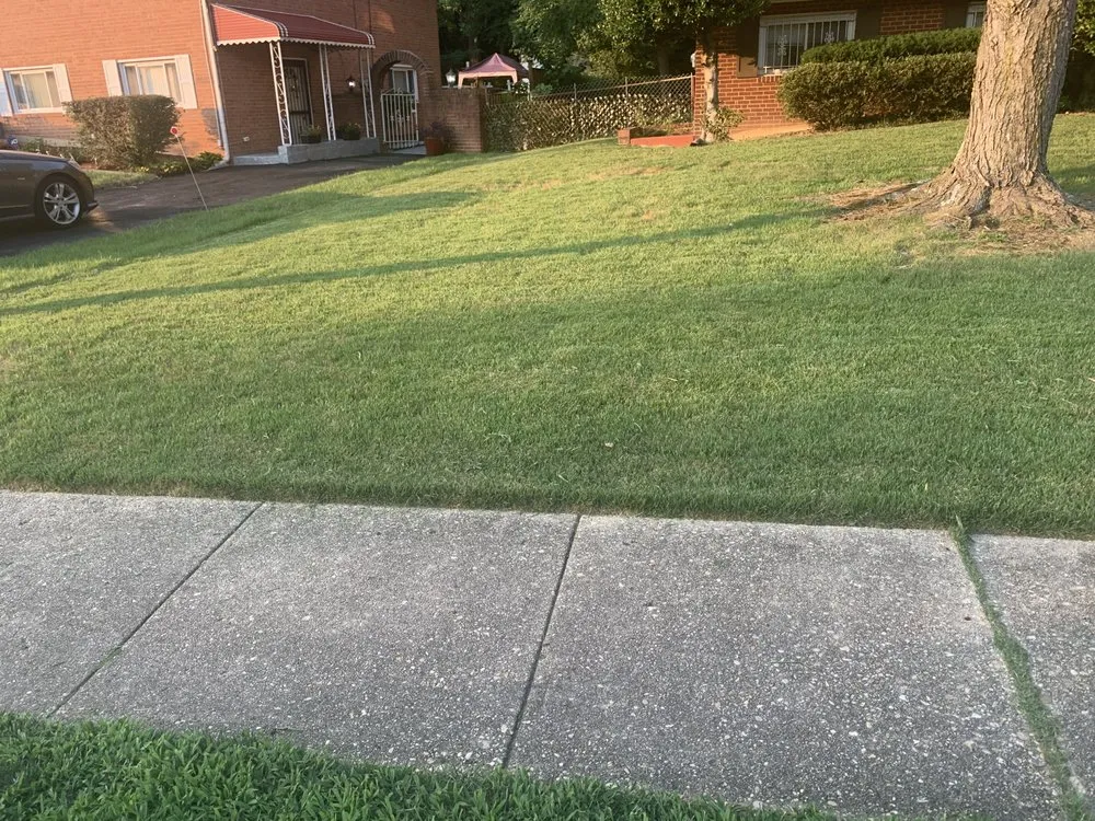 Trusted garden landscaping experts serving District Heights, MD - Cloud Eleven Land Solu