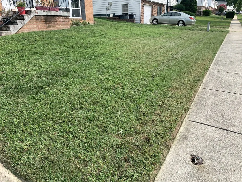 Expert yard maintenance for year-round maintenance across District Heights, MD - Cloud Eleven Land Solu