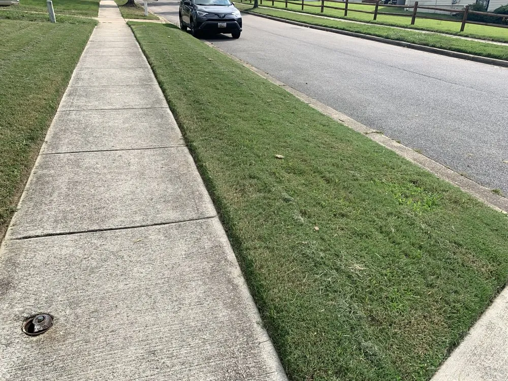 Reliable landscaping services in District Heights, MD - Cloud Eleven Land Solu