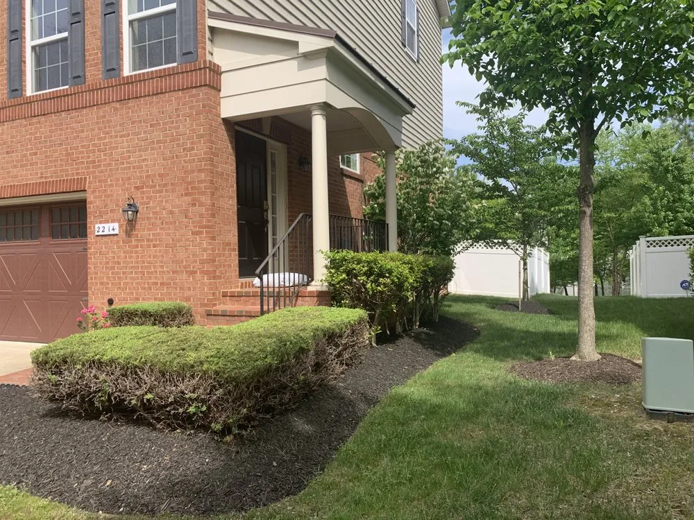 Affordable yard cleanup service in District Heights, MD by Cloud Eleven Land Solu