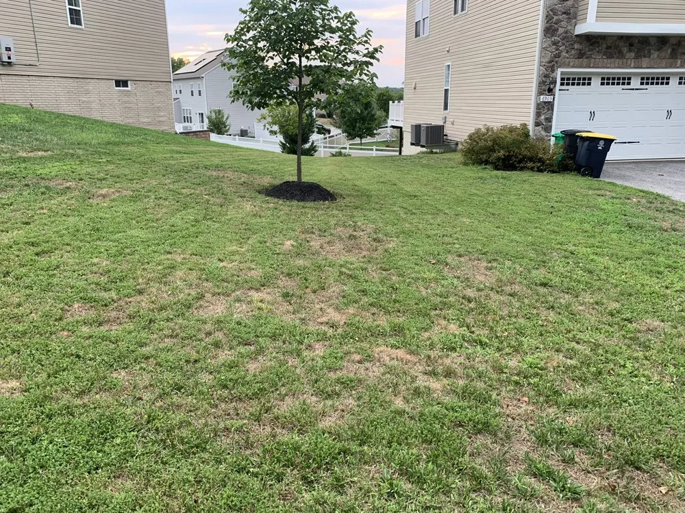 Professional landscape design with custom design across District Heights, MD - Cloud Eleven Land Solu