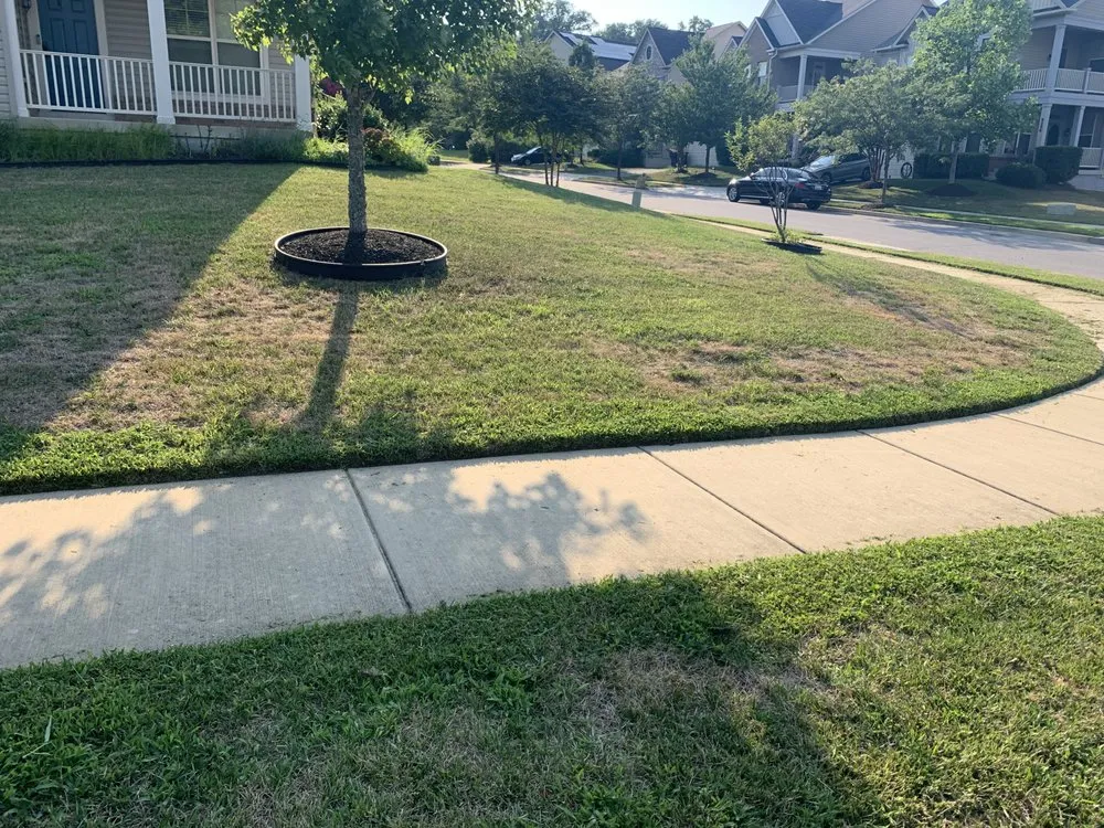 Custom garden landscaping experts serving District Heights, MD - Cloud Eleven Land Solu