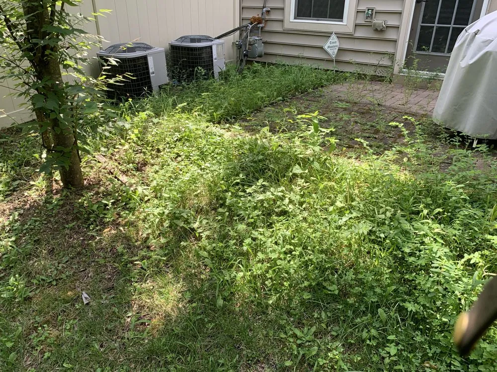 Local lawn care service with custom design in District Heights, MD by Cloud Eleven Land Solu