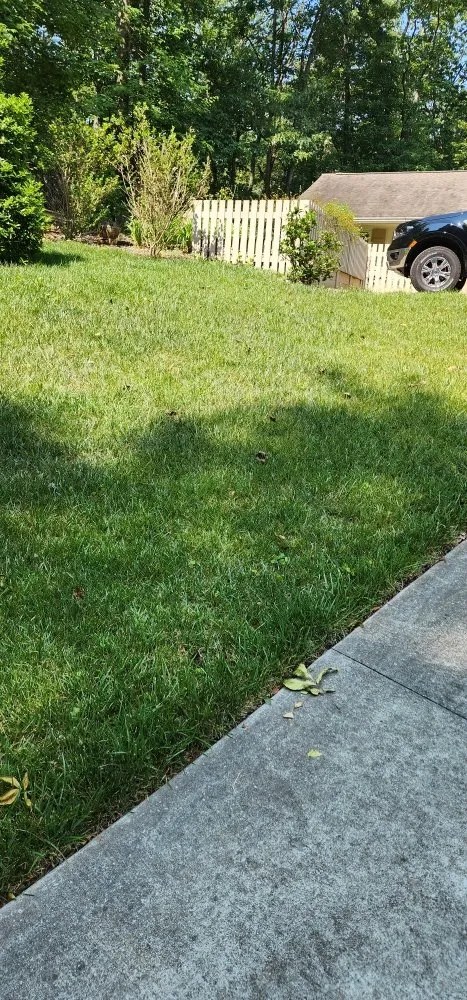 Top-rated residential landscaping with custom design across Jasper, GA - Cloud Lawn Care