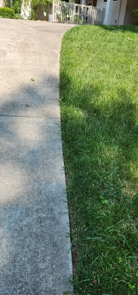 Top-rated landscaping services in Jasper, GA - Cloud Lawn Care