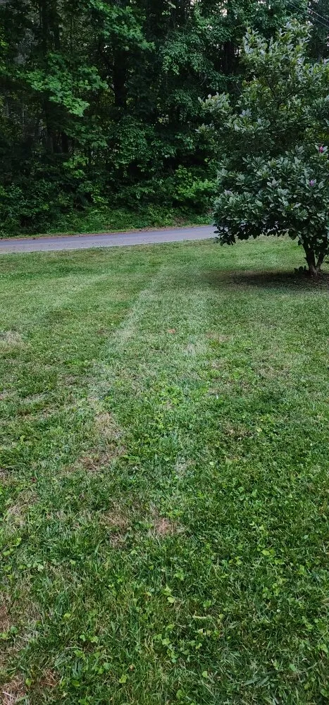 Reliable yard cleanup service for beautiful yards in Jasper, GA by Cloud Lawn Care