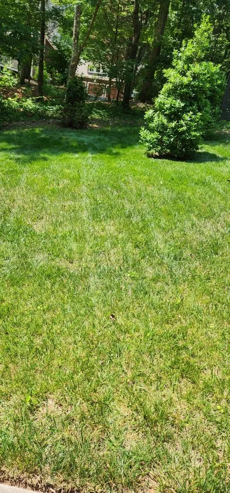 Professional landscape installation for residential properties across Jasper, GA - Cloud Lawn Care