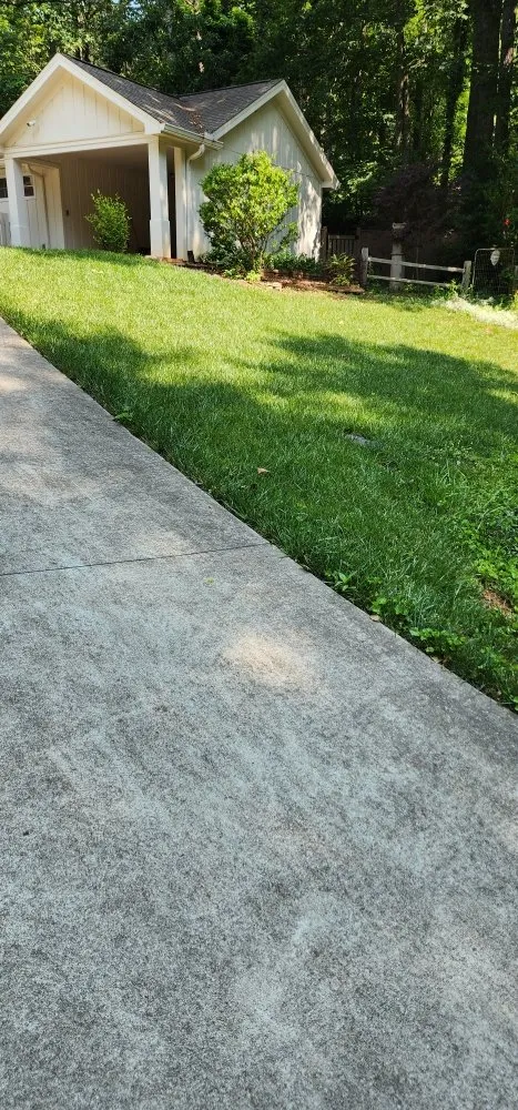 Affordable lawn mowing service in Jasper, GA by Cloud Lawn Care