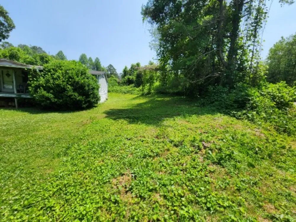 Affordable outdoor landscaping experts serving Jasper, GA - Cloud Lawn Care