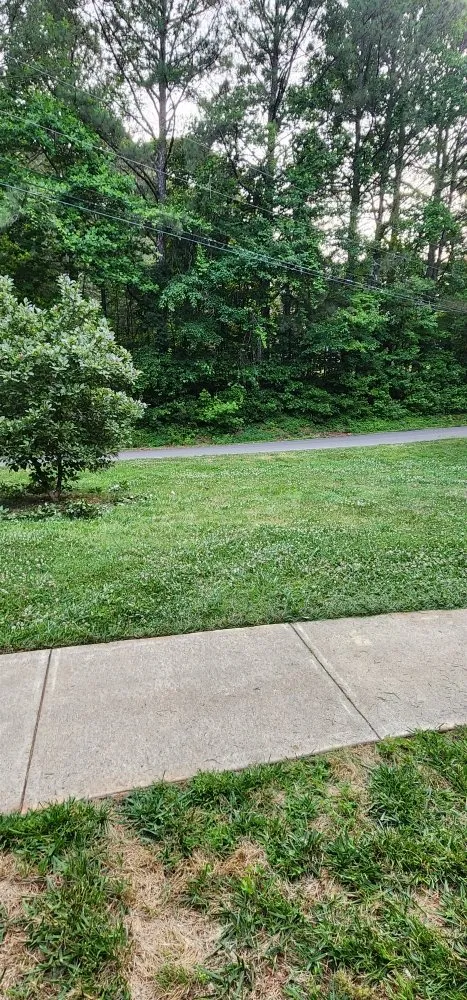 Professional yard cleanup service in Jasper, GA by Cloud Lawn Care