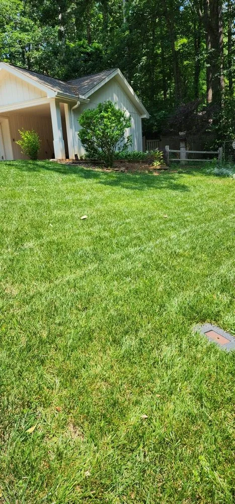 Top-rated landscape installation experts serving Jasper, GA - Cloud Lawn Care