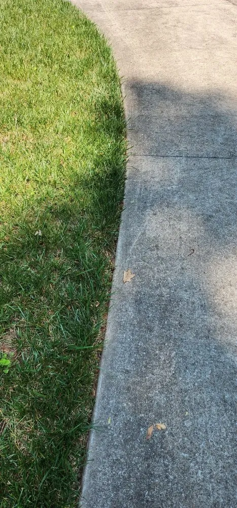 Reliable outdoor landscaping in Jasper, GA - Cloud Lawn Care