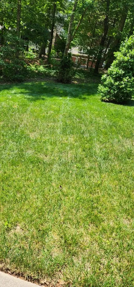 Top-rated lawn mowing service for outdoor upgrades across Jasper, GA - Cloud Lawn Care