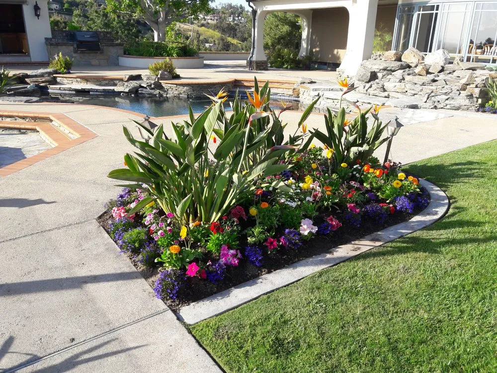 Affordable landscape installation in Orange, CA by Clover Landscape