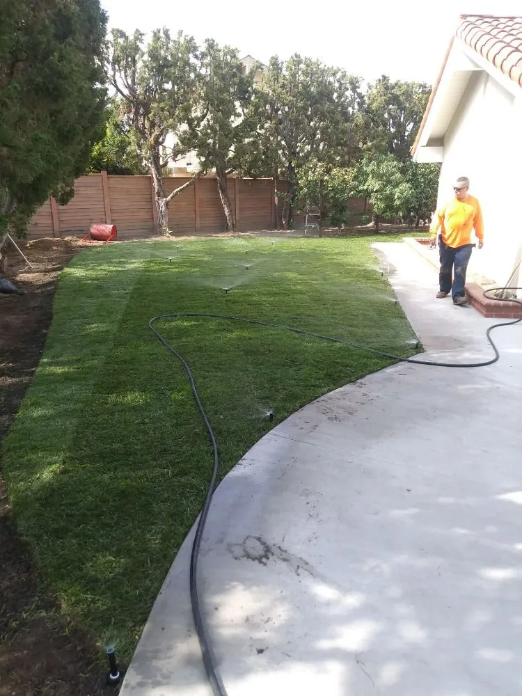Local lawn care service in Orange, CA by Clover Landscape