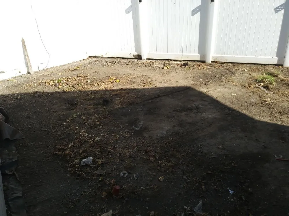 Custom lawn mowing service for beautiful yards in Orange, CA by Clover Landscape